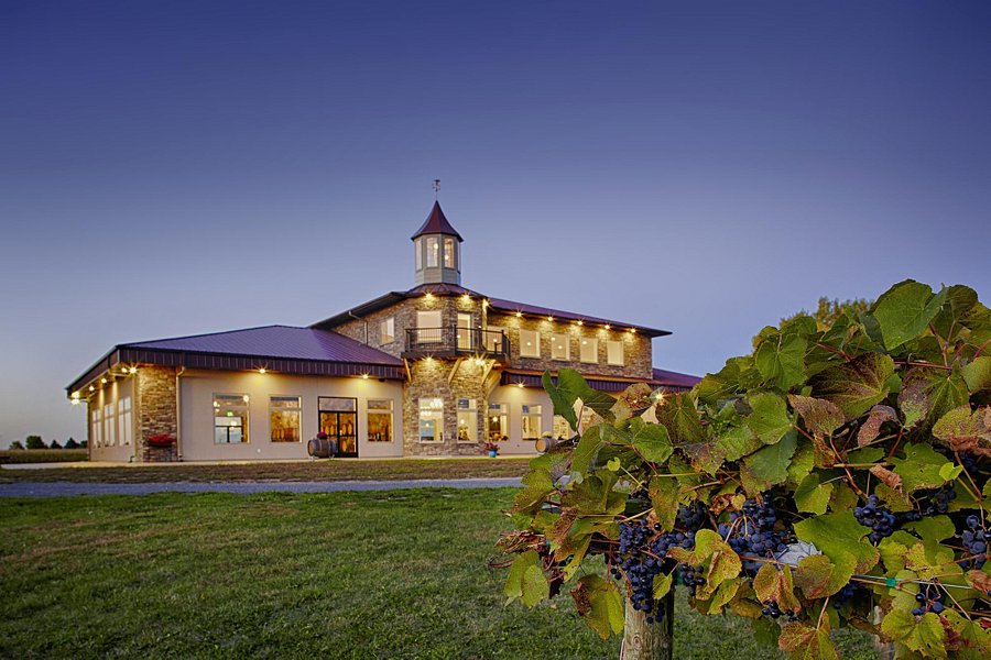 WineHaven Winery and Vineyard image