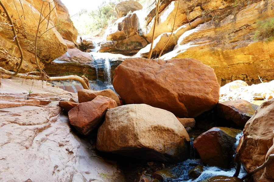 Lower Pine Creek Waterfall image