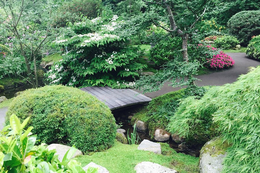 De Japanske Haver image