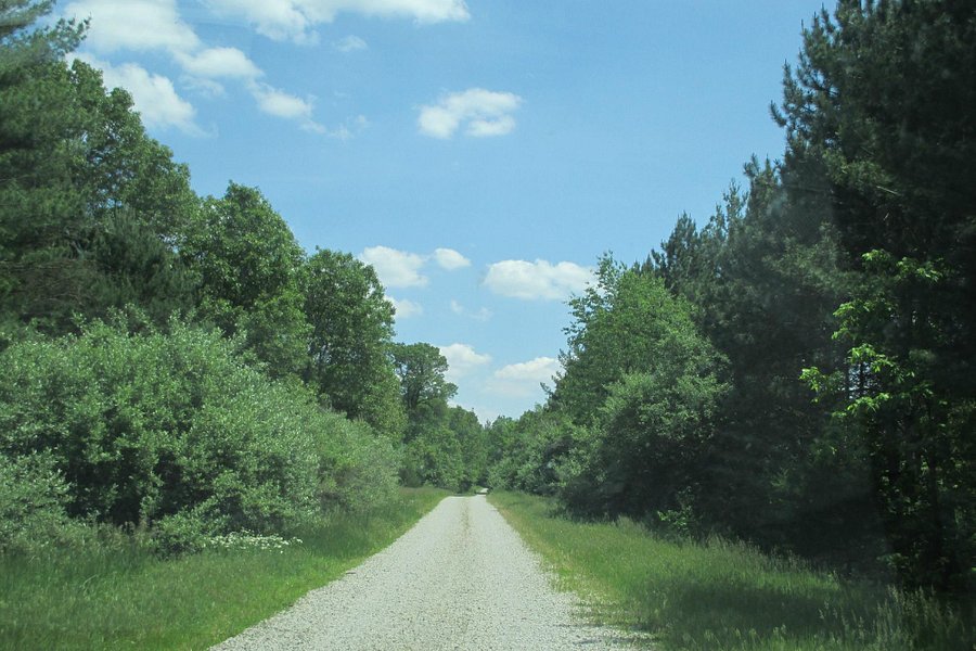Sand Ridge State Forest image