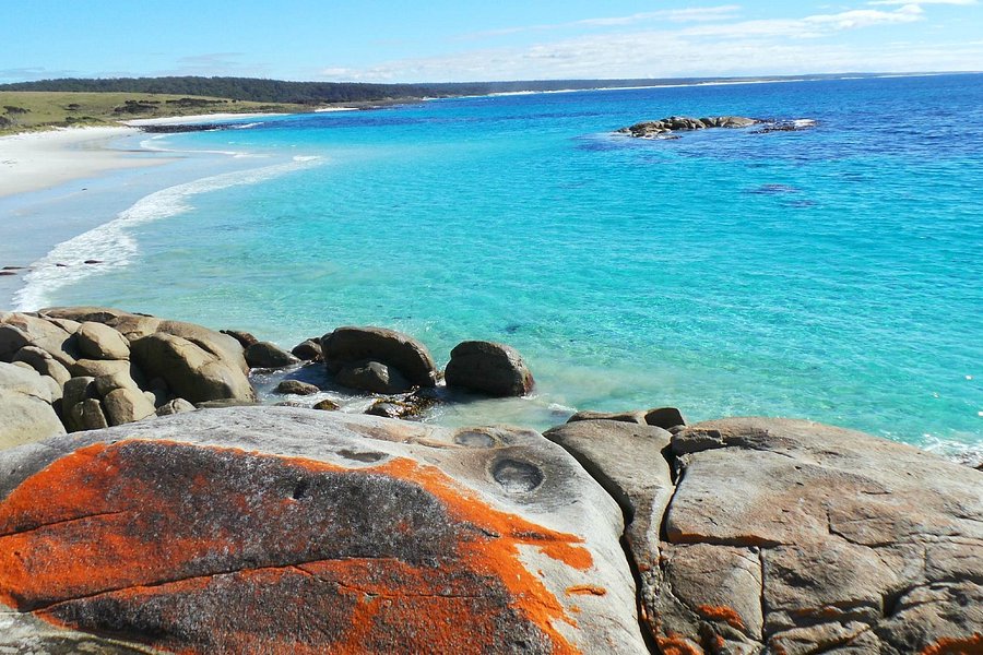 Bay of Fires Conservation Area image