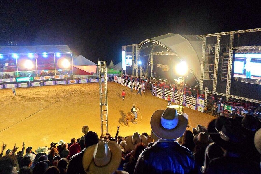 Lavras Rodeo Festival image