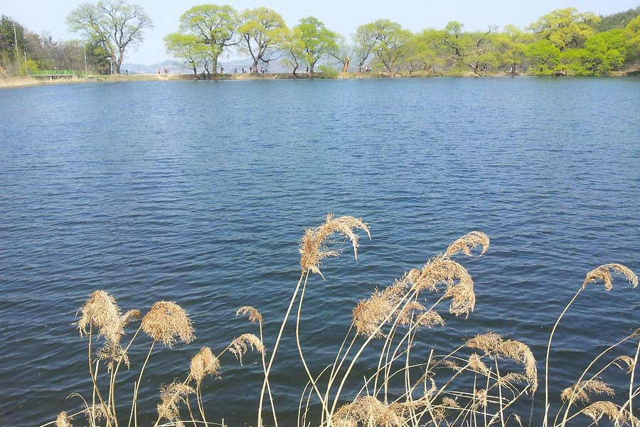 Bangokji Reservoir image