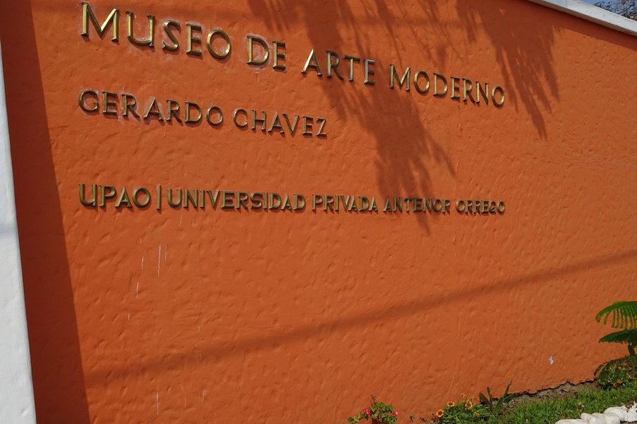 Museo de Arte Moderno image