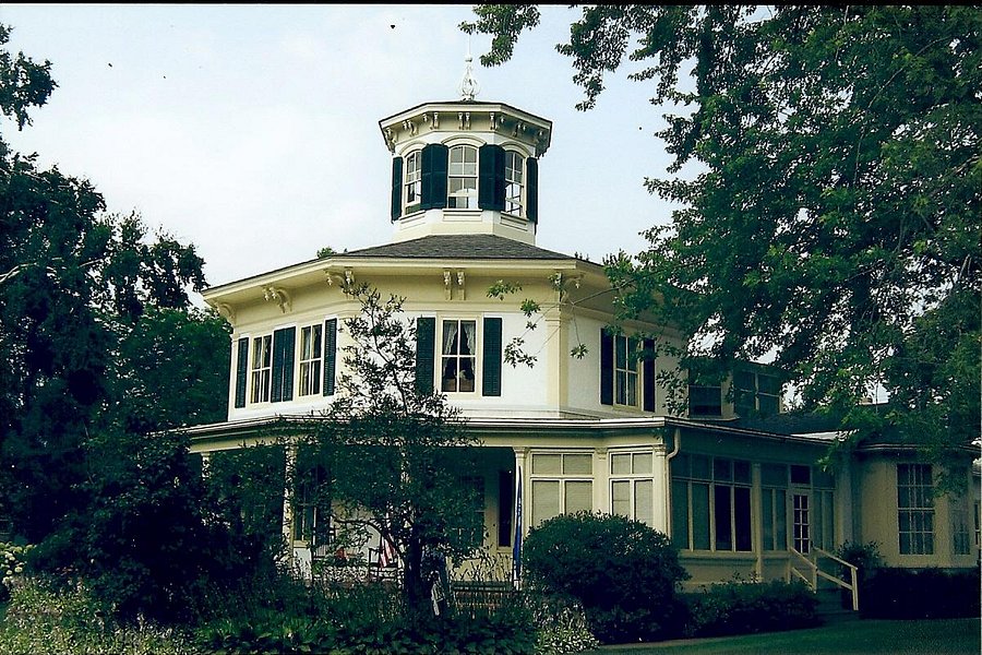 Historic Octagon House Museum image