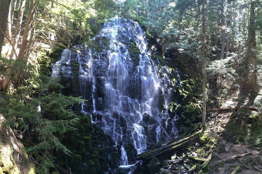 Ramona Falls Trail image