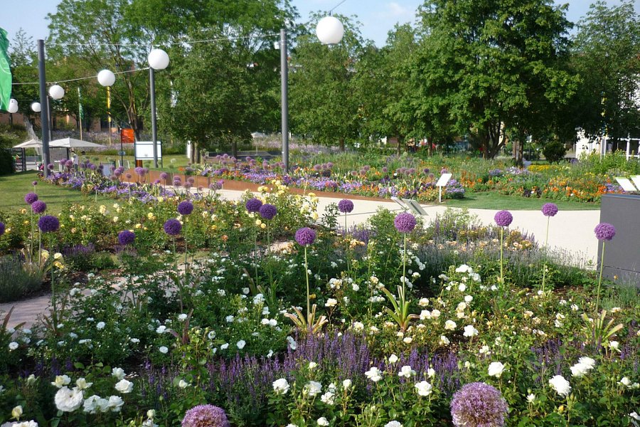 Gartenschau Enzgarten image