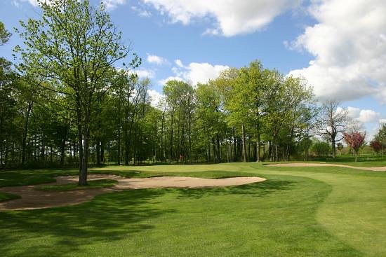 Sawmill Golf Course image