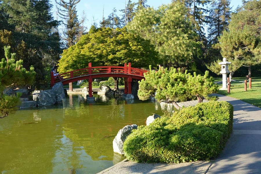 Japanese Friendship Garden image