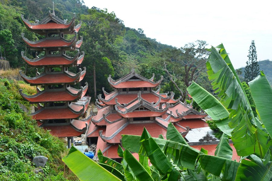 Linh Son Truong Tho Pagoda image