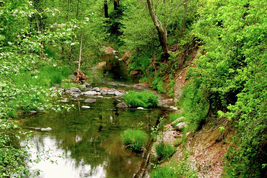 West Fork Oak Creek Trail image