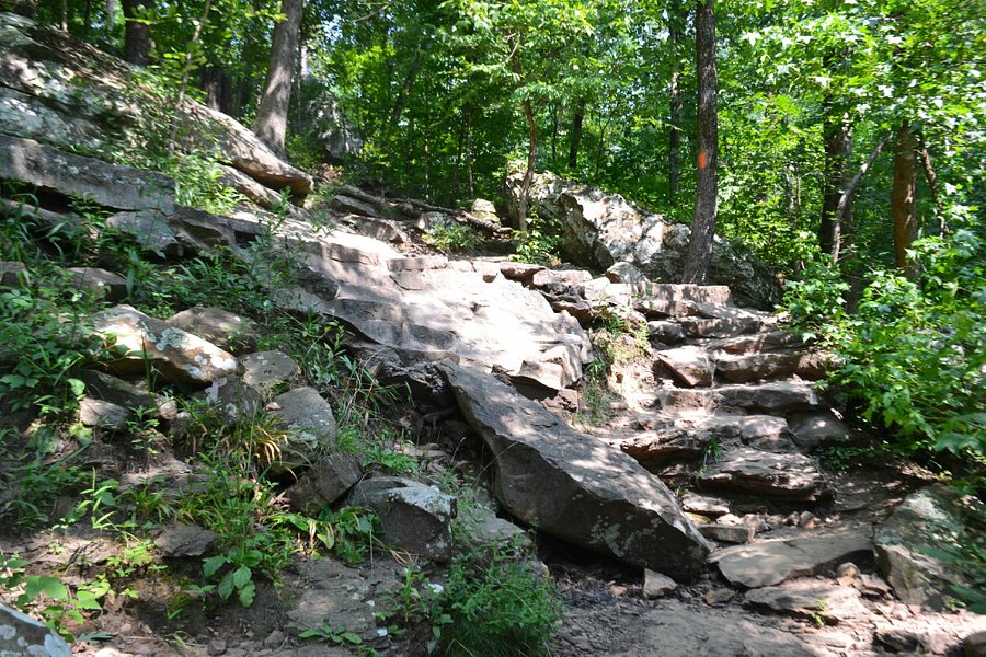Cedar Falls Trail image