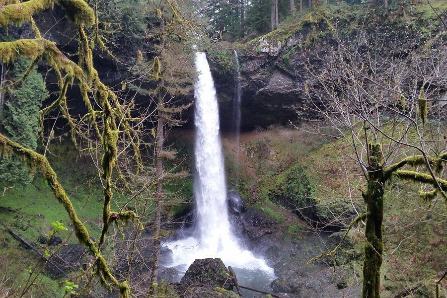Silver Falls State Park image