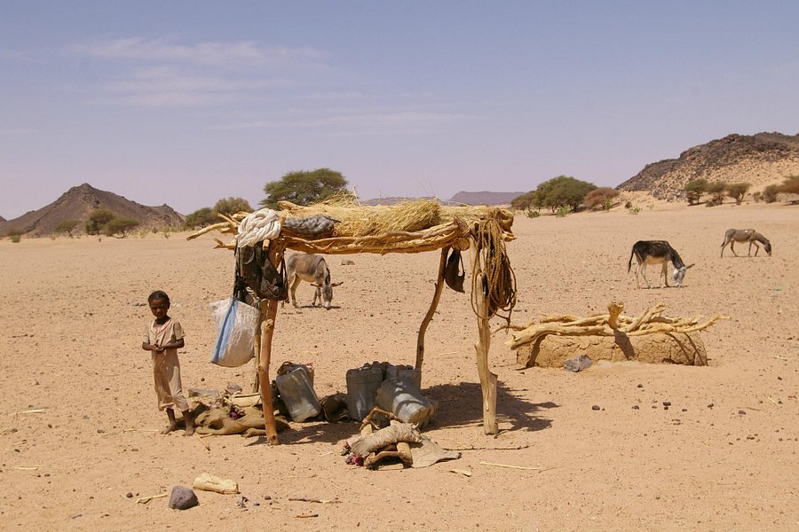 Bayuda Desert image