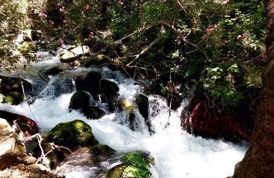 Banias Waterfall image