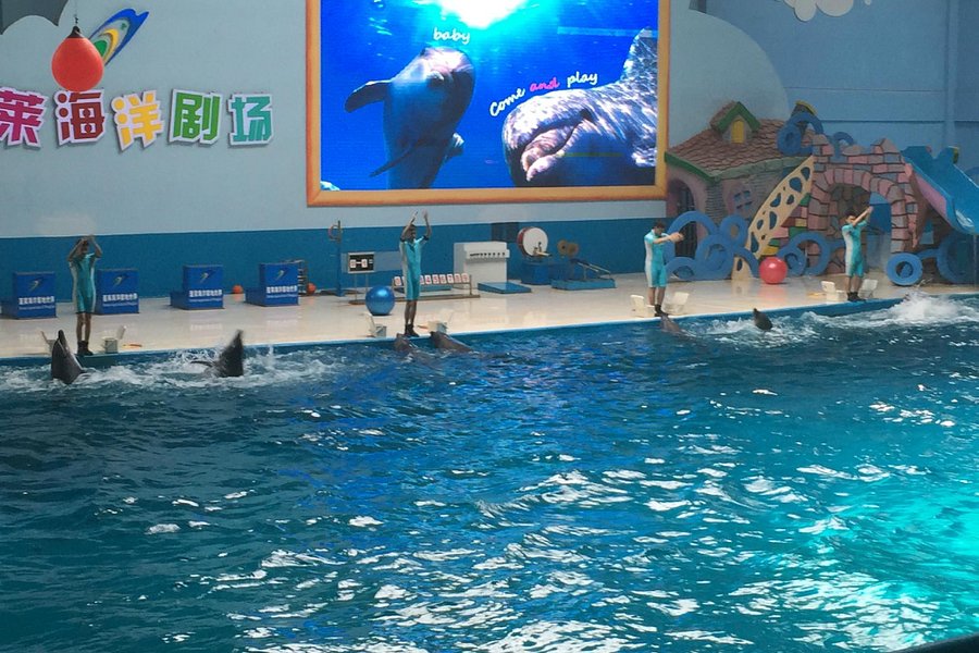 Ocean Aquarium of Penglai image
