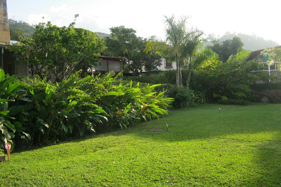 Hacienda La Trinidad Parque Cultural image