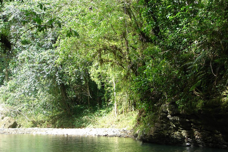 Arecibo River image