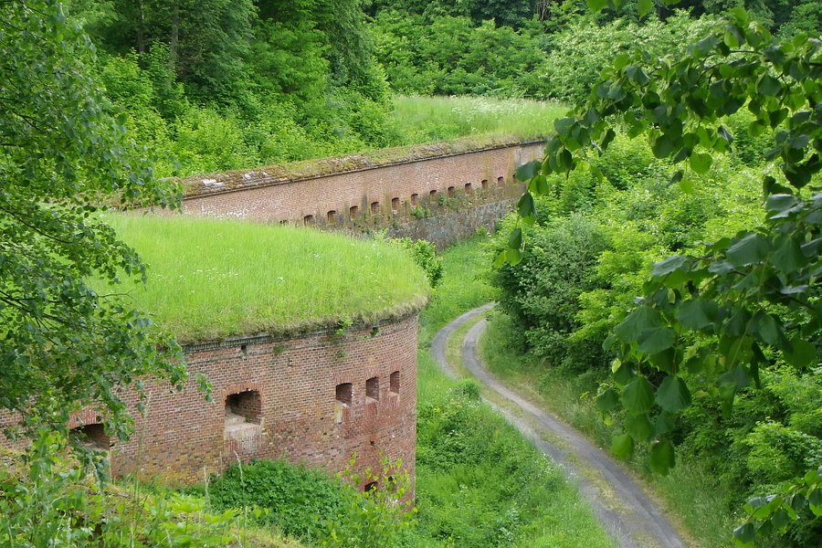 Boyen Fortress image