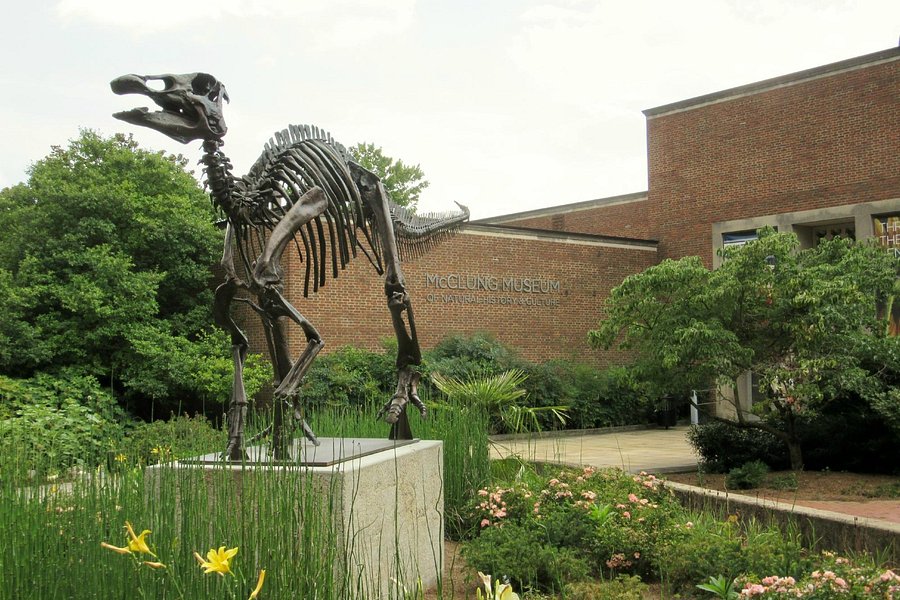 McClung Museum of Natural History and Culture image
