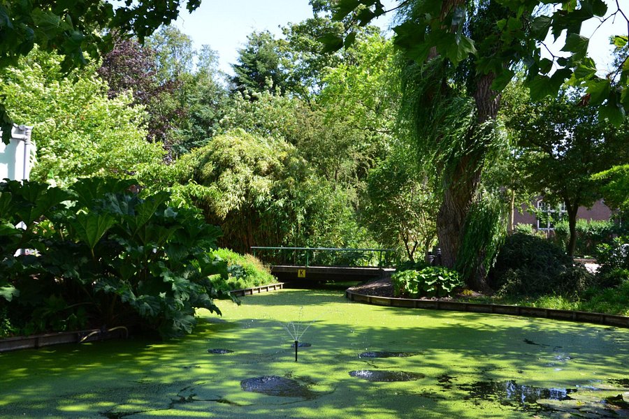 TU Botanical Garden image