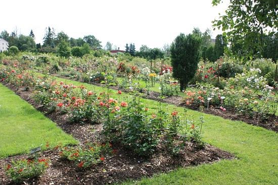 Poltsamaa Rose Garden image