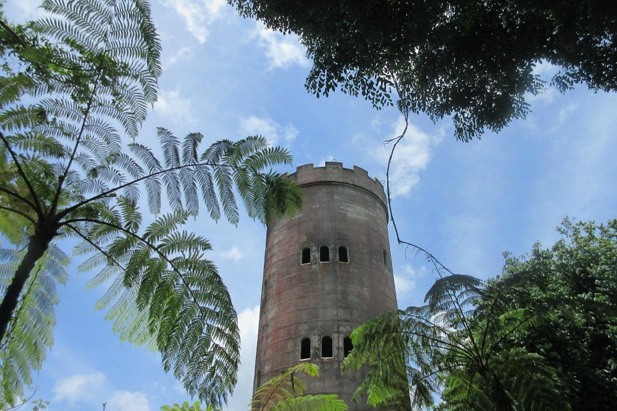 Yokahú Observation Tower image