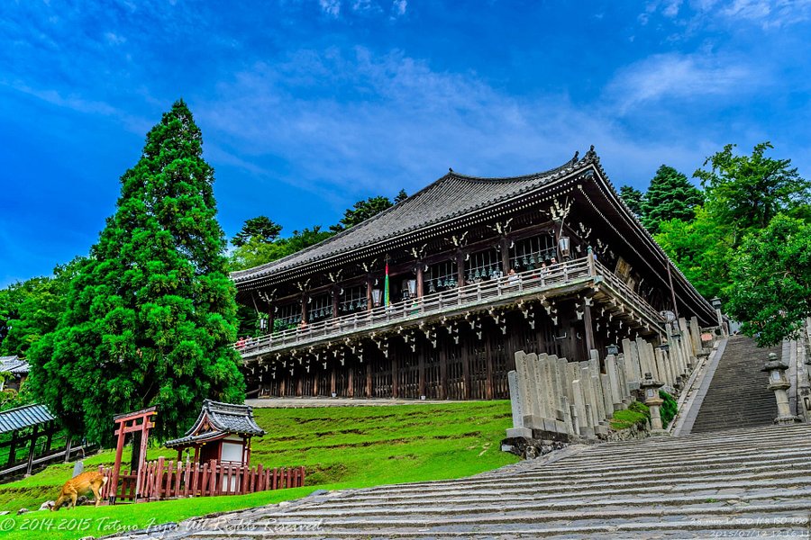 Nigatsu-do Temple image