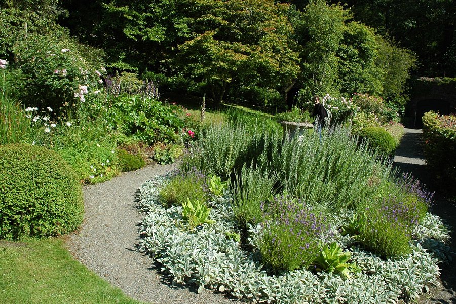 Colby Woodland Garden (National Trust) image