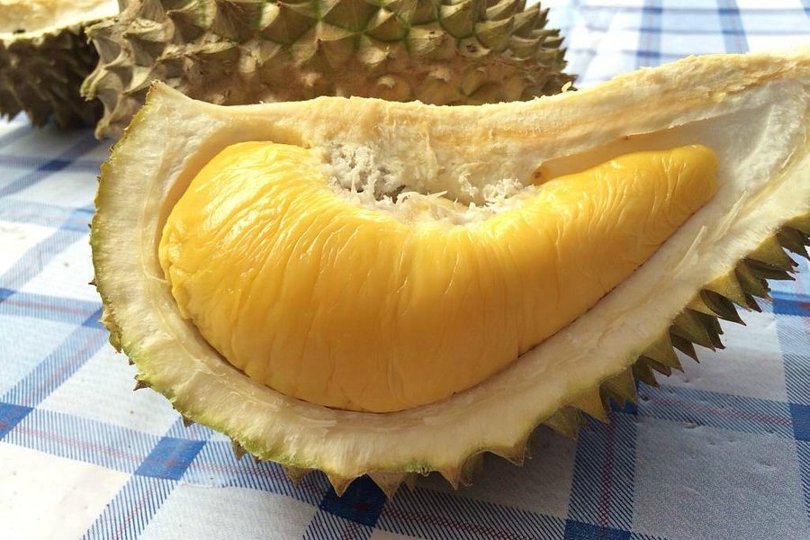 Jimmy's Durian Orchard image