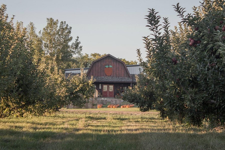 Deal's Apple Orchard image