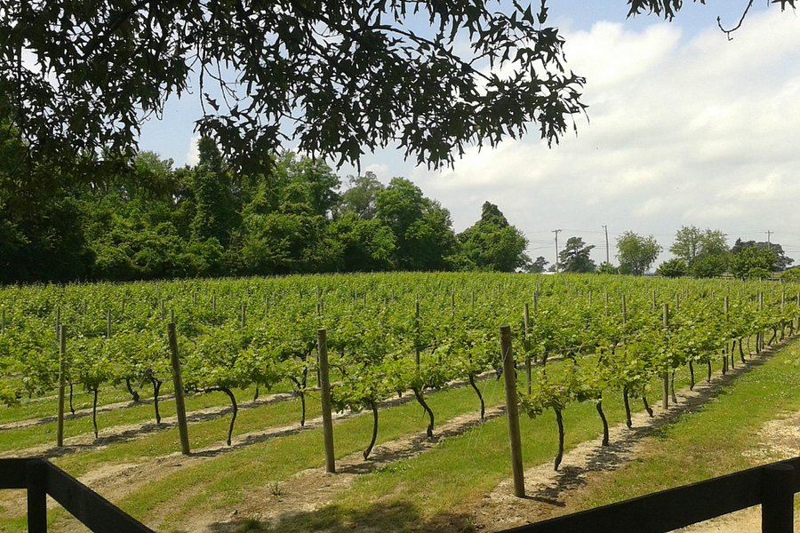 Perigeaux Vineyards & Winery image