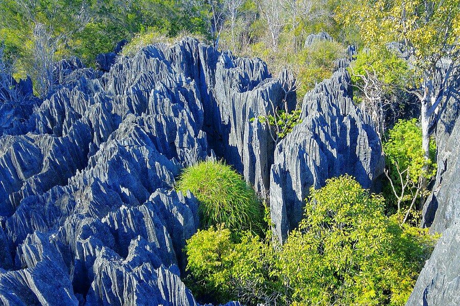 Tsingy de Bemaraha Strict Nature Reserve image