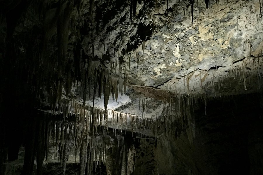 Gunns Plains Caves image