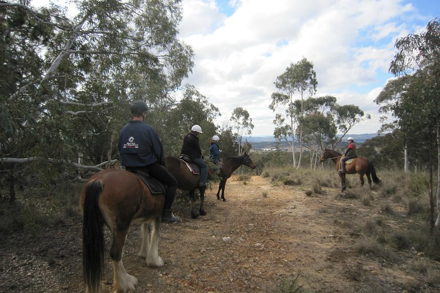 Burnelee Excursions on Horseback image