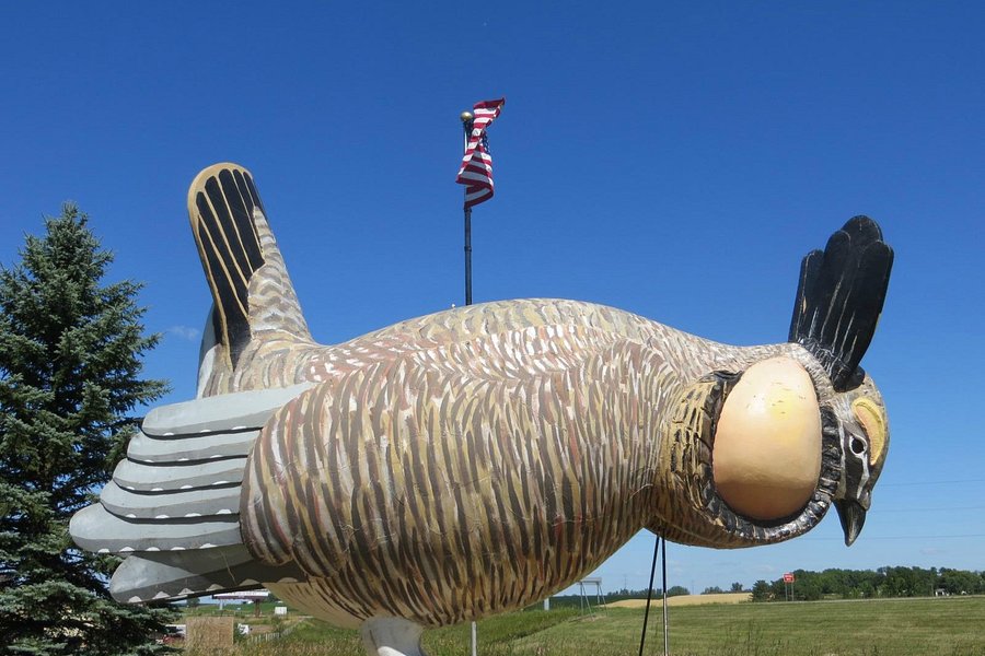 World's Largest Prairie Chicken image
