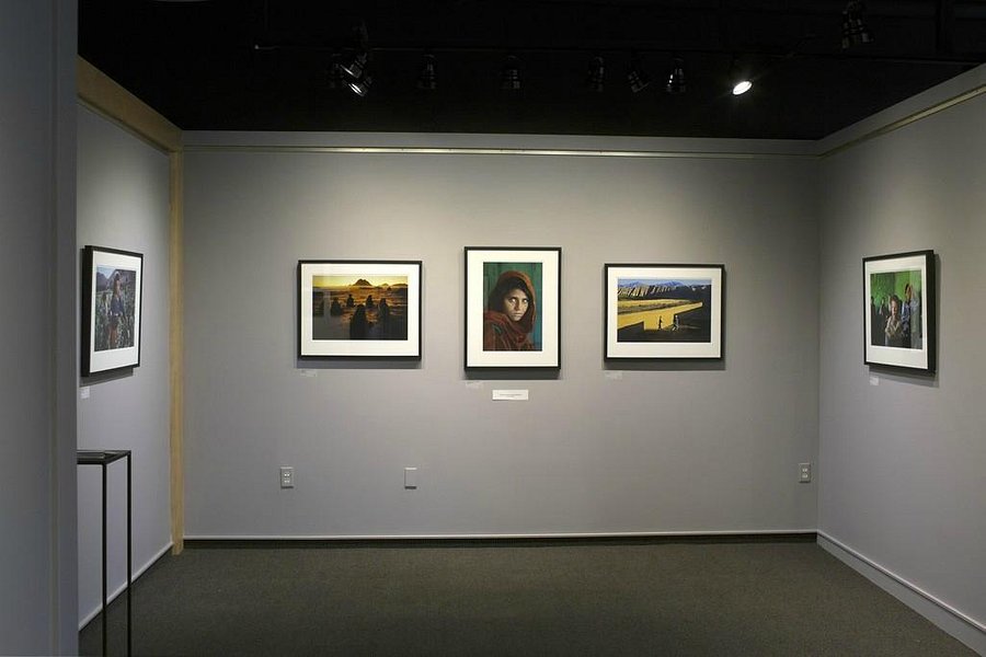 Pictura Gallery image