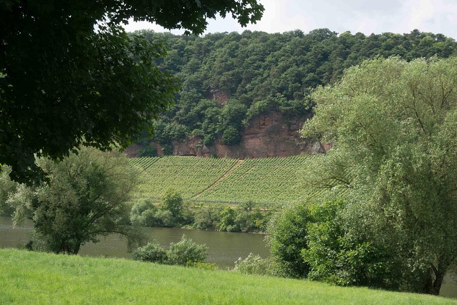 Moselle Valley image