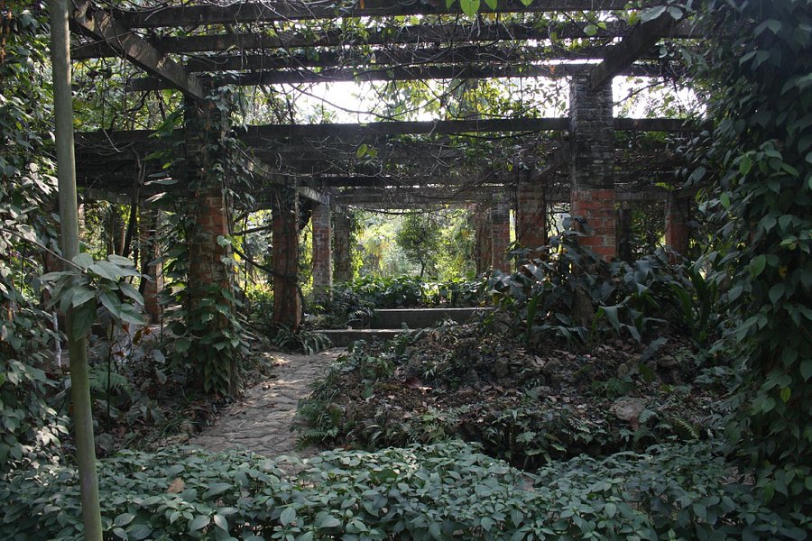 Guangxi Medicinal Botanical Garden image