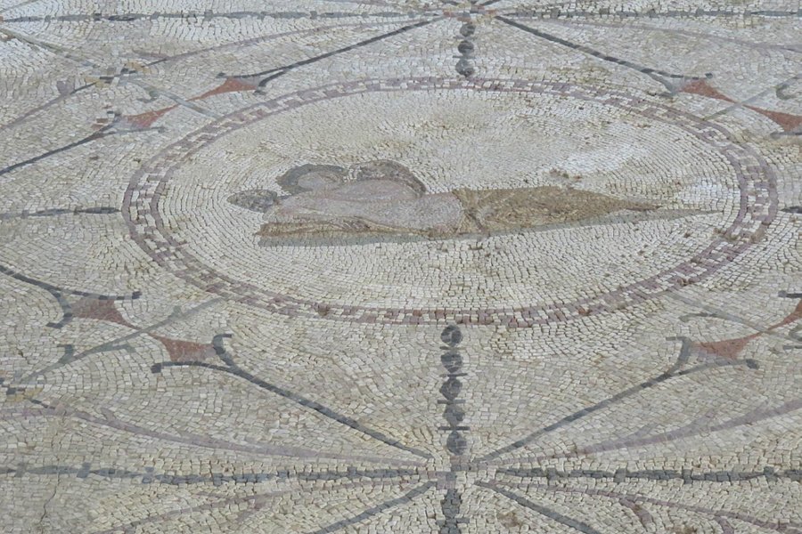 Roman Mosaics Risan image