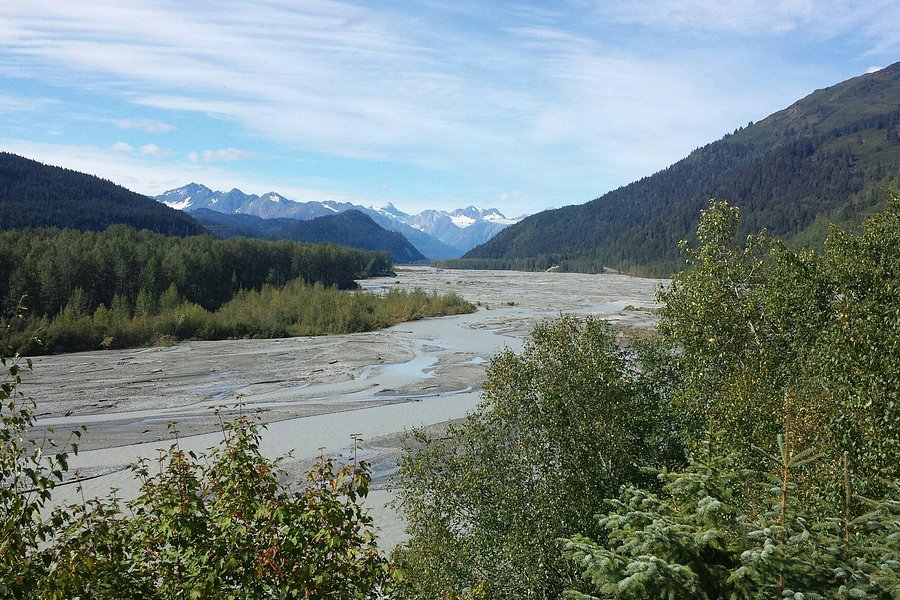 Chilkat River image