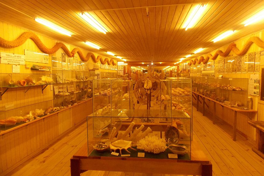 Museo Del Mar image