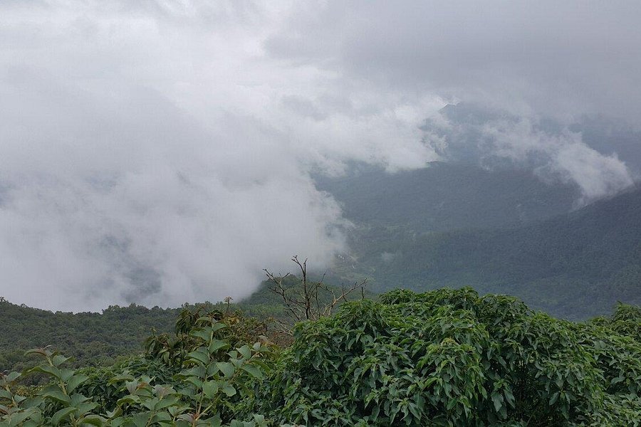 Jamboti Hills image