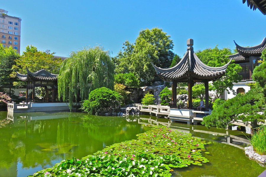 Lan Su Chinese Garden image