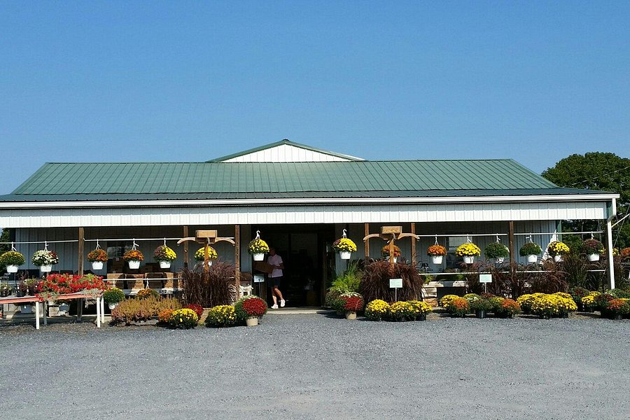 Shen-Valley Flea Market at Double Tollgate image