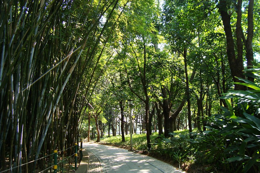 Futian Mangrove Nature Reserve image