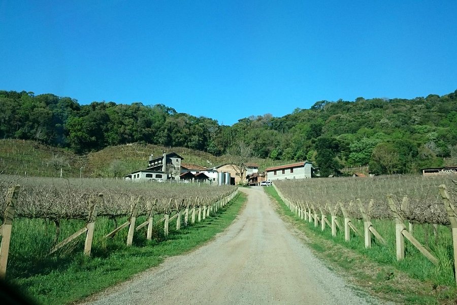 Cantina Tonet Winery image
