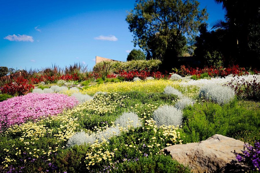 The Australian Botanic Garden image