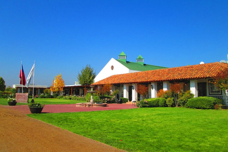 Viña Casas del Bosque image