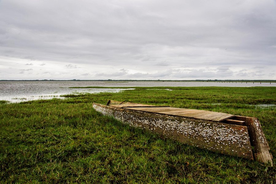 Lagoa do Peixe National Park image